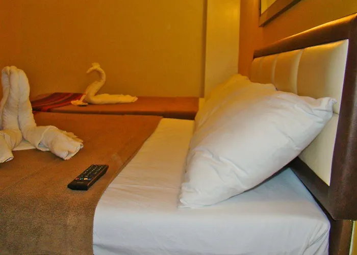 Express Mactan 여관 2*
